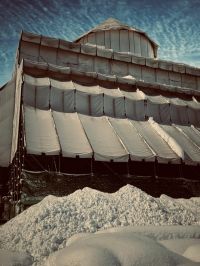 გელათის რეაბილიტაციის დროებითი კომიტეტის განცხადება